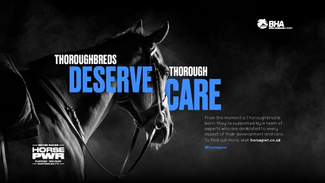 HorsePWR_Screens_1920x1080_RGB_DeserveCare